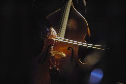 tribu hérisson